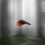 How to make your long-haul flight feel like a breeze