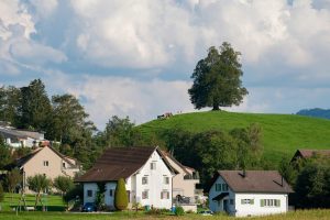 Beyond the city limits: exploring suburban and rural living