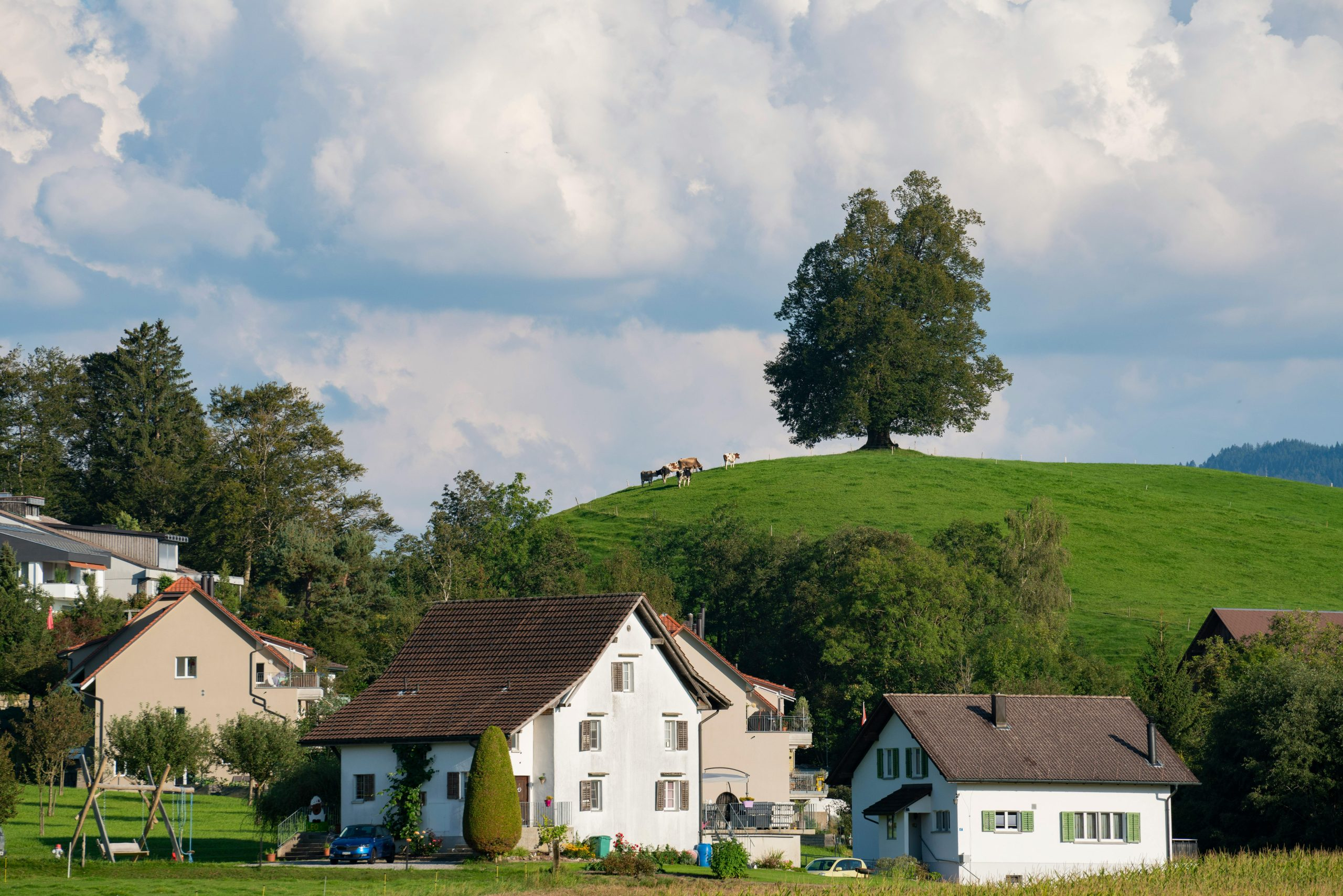 Beyond the city limits: exploring suburban and rural living