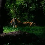 Decoding the hidden meanings in our sartorial choices