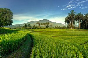 How drones are changing everything from art to agriculture