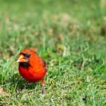 What the world's most beautiful libraries can teach us