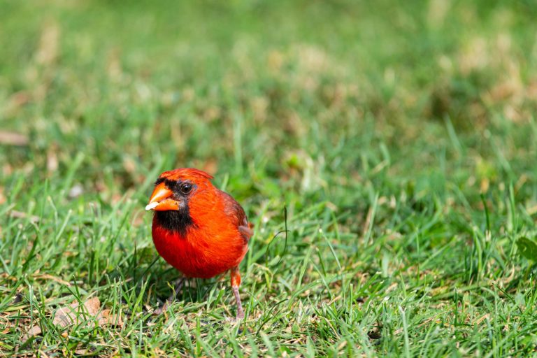 What the world's most beautiful libraries can teach us