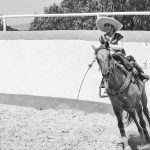 The critical link between nutrition and cognitive performance