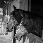 The quiet art of building a custom hot rod from the ground up