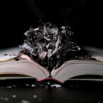 Beyond the textbook: how experiential learning transforms students