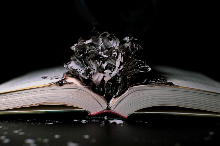 Beyond the textbook: how experiential learning transforms students