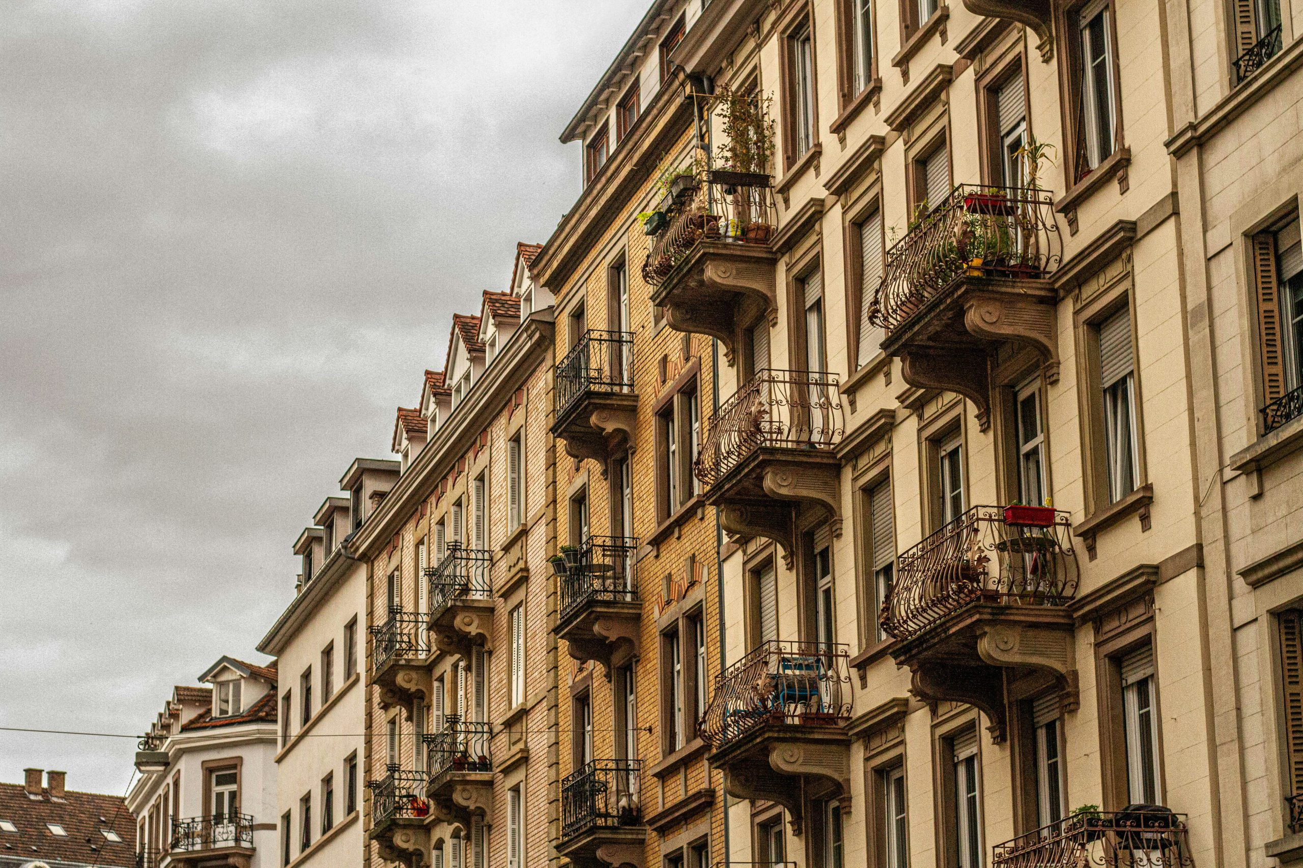 A complete guide to understanding real estate market trends
