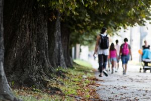Beyond the lecture: engaging students with active learning
